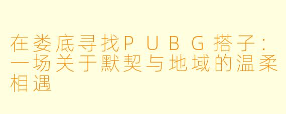 在娄底寻找PUBG搭子：一场关于默契与地域的温柔相遇