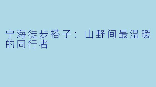 宁海徒步搭子:山野间最温暖的同行者