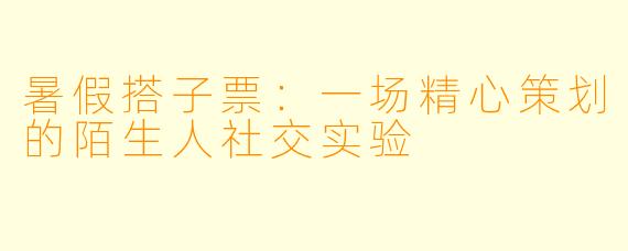 暑假搭子票:一场精心策划的陌生人社交实验