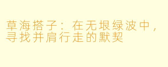 草海搭子:在无垠绿波中,寻找并肩行走的默契