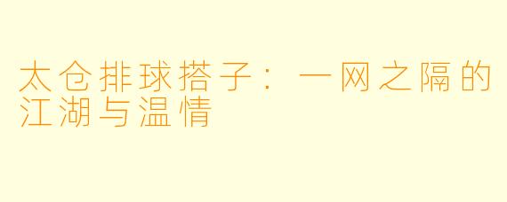 太仓排球搭子:一网之隔的江湖与温情