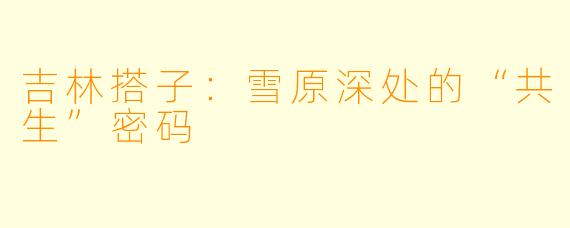 吉林搭子:雪原深处的“共生”密码