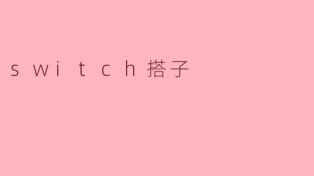 switch搭子