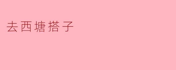 去西塘搭子