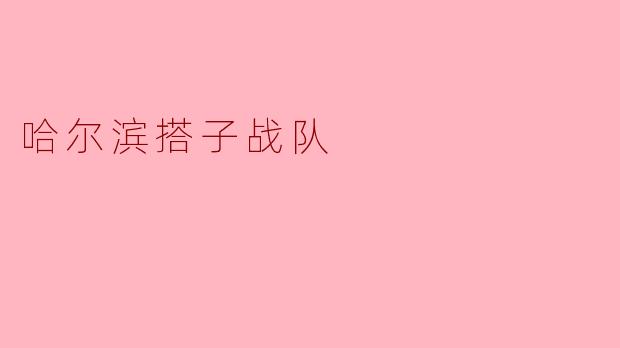 哈尔滨搭子战队
