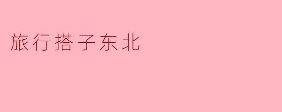 旅行搭子东北
