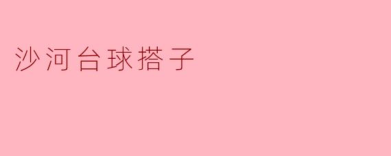 沙河台球搭子