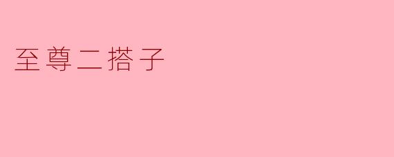 至尊二搭子