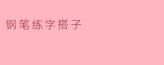 钢笔练字搭子