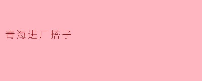 青海进厂搭子