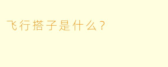 飞行搭子是什么？