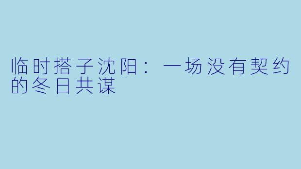 临时搭子沈阳:一场没有契约的冬日共谋