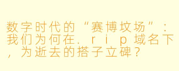 数字时代的“赛博坟场”:我们为何在.rip域名下,为逝去的搭子立碑?