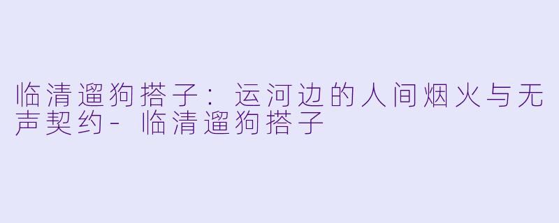 临清遛狗搭子:运河边的人间烟火与无声契约-临清遛狗搭子