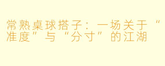 常熟桌球搭子:一场关于“准度”与“分寸”的江湖