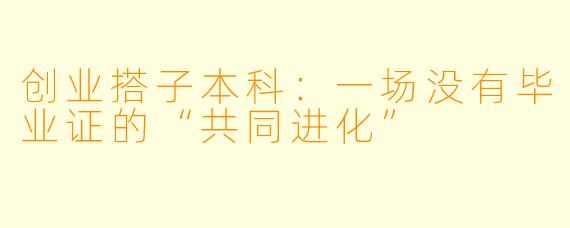 创业搭子本科:一场没有毕业证的“共同进化”