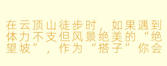在云顶山徒步时，如果遇到体力不支但风景绝美的“绝望坡”，作为“搭子”你会怎么处理？