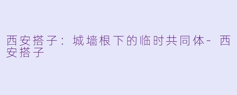 西安搭子:城墙根下的临时共同体-西安搭子
