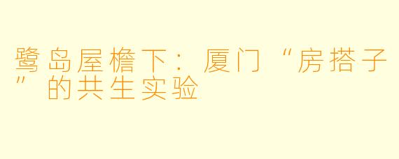 鹭岛屋檐下：厦门“房搭子”的共生实验