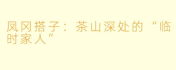 凤冈搭子：茶山深处的“临时家人”