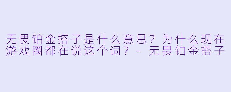 无畏铂金搭子是什么意思?为什么现在游戏圈都在说这个词?-无畏铂金搭子
