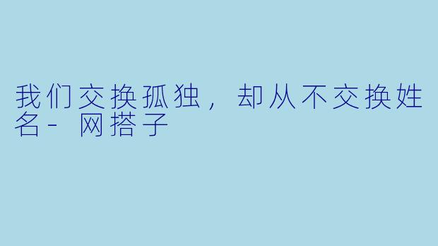 我们交换孤独,却从不交换姓名-网搭子