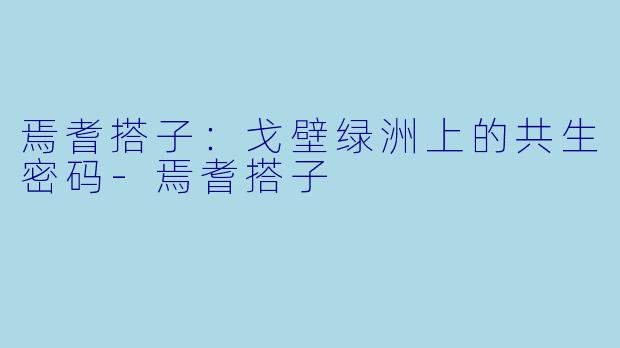 焉耆搭子:戈壁绿洲上的共生密码-焉耆搭子
