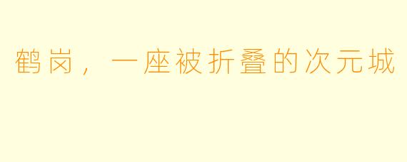 鹤岗,一座被折叠的次元城