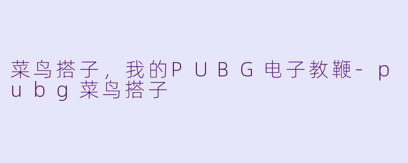 菜鸟搭子,我的PUBG电子教鞭-pubg菜鸟搭子