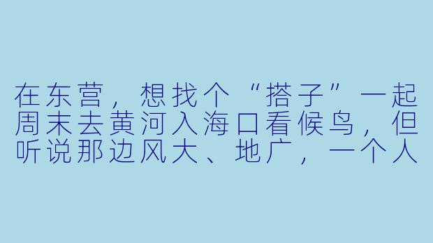 在东营，想找个“搭子”一起周末去黄河入海口看候鸟，但听说那边风大、地广，一个人去确实有点冷清，你有什么靠谱的“搭子”玩法推荐吗？-搭子东营