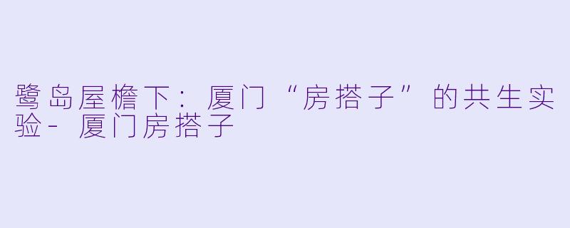 鹭岛屋檐下：厦门“房搭子”的共生实验-厦门房搭子