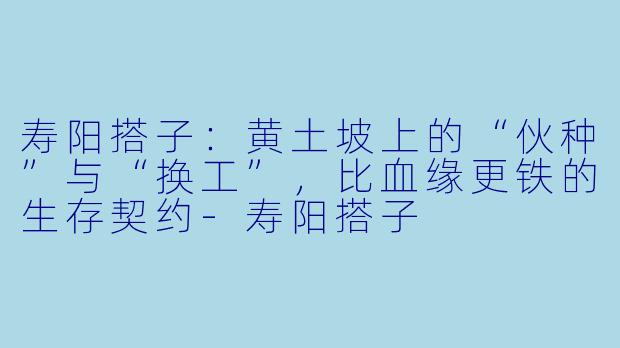 寿阳搭子：黄土坡上的“伙种”与“换工”，比血缘更铁的生存契约-寿阳搭子