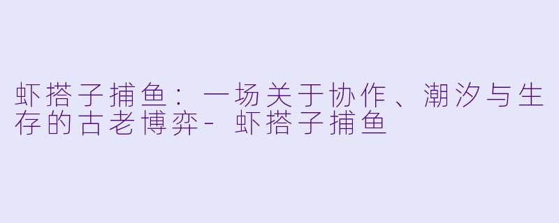 虾搭子捕鱼:一场关于协作、潮汐与生存的古老博弈-虾搭子捕鱼