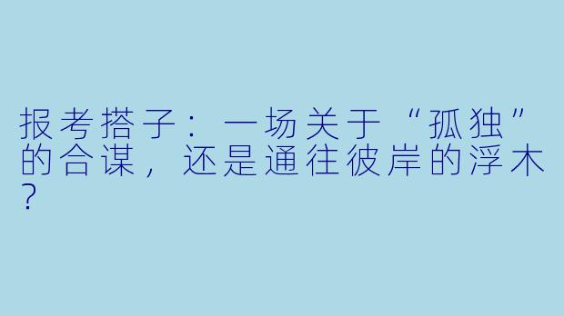 报考搭子:一场关于“孤独”的合谋,还是通往彼岸的浮木?