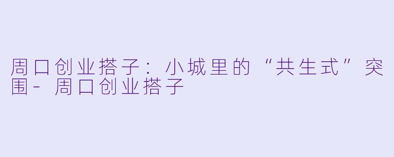 周口创业搭子:小城里的“共生式”突围-周口创业搭子