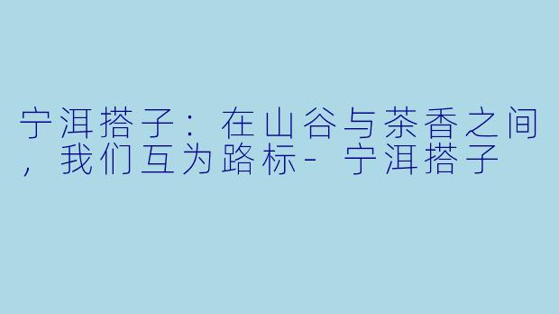 宁洱搭子:在山谷与茶香之间,我们互为路标-宁洱搭子