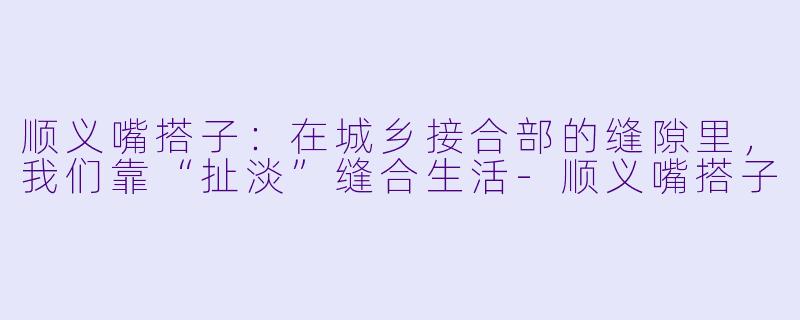顺义嘴搭子:在城乡接合部的缝隙里,我们靠“扯淡”缝合生活-顺义嘴搭子