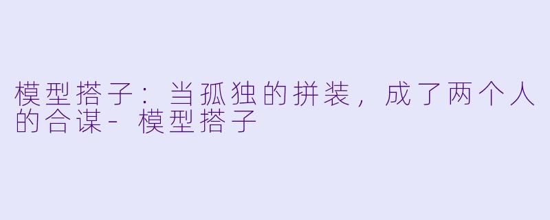 模型搭子:当孤独的拼装,成了两个人的合谋-模型搭子