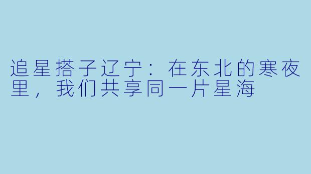 追星搭子辽宁:在东北的寒夜里,我们共享同一片星海