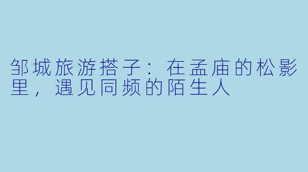 邹城旅游搭子:在孟庙的松影里,遇见同频的陌生人