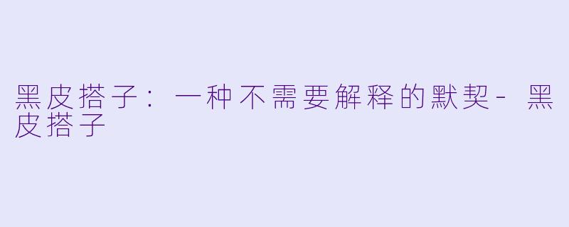 黑皮搭子:一种不需要解释的默契-黑皮搭子