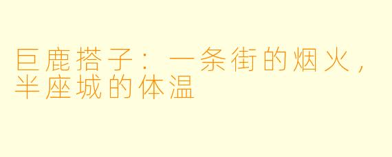 巨鹿搭子:一条街的烟火,半座城的体温