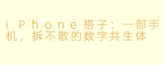 iPhone搭子：一部手机，拆不散的数字共生体