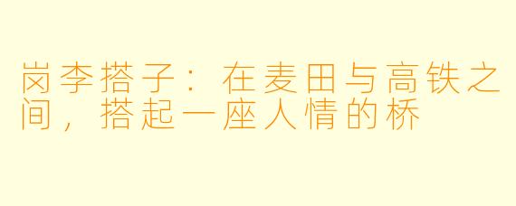 岗李搭子:在麦田与高铁之间,搭起一座人情的桥
