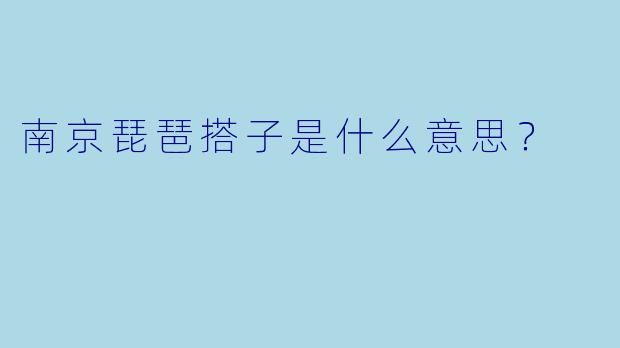 南京琵琶搭子是什么意思？