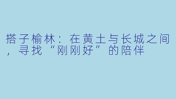 搭子榆林:在黄土与长城之间,寻找“刚刚好”的陪伴