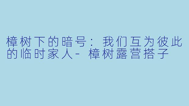 樟树下的暗号:我们互为彼此的临时家人-樟树露营搭子