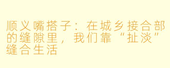顺义嘴搭子:在城乡接合部的缝隙里,我们靠“扯淡”缝合生活