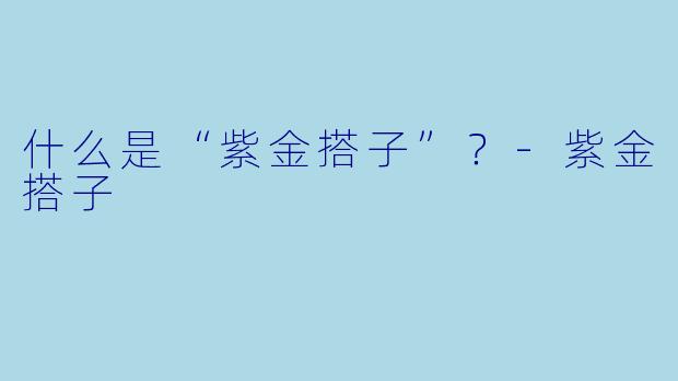 什么是“紫金搭子”?-紫金搭子