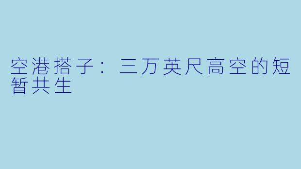 空港搭子:三万英尺高空的短暂共生